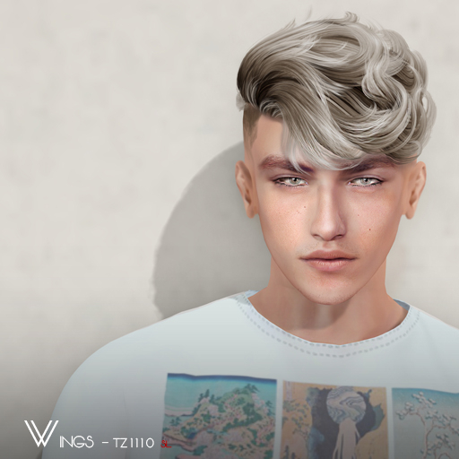 Second Life Marketplace WINGSHAIRTZ1110 Gold (Pack)